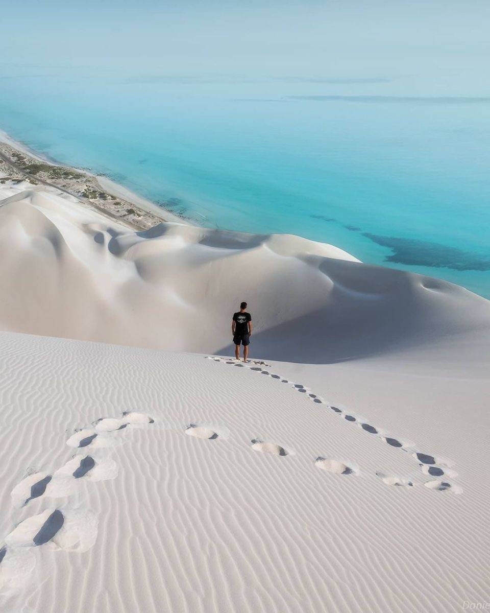 سقطرى